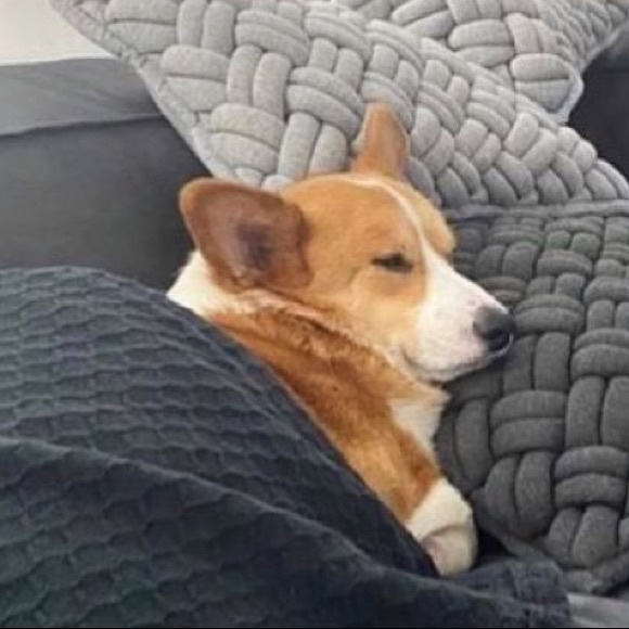 Meet your Posher, Felisha - Picture 1 of 1